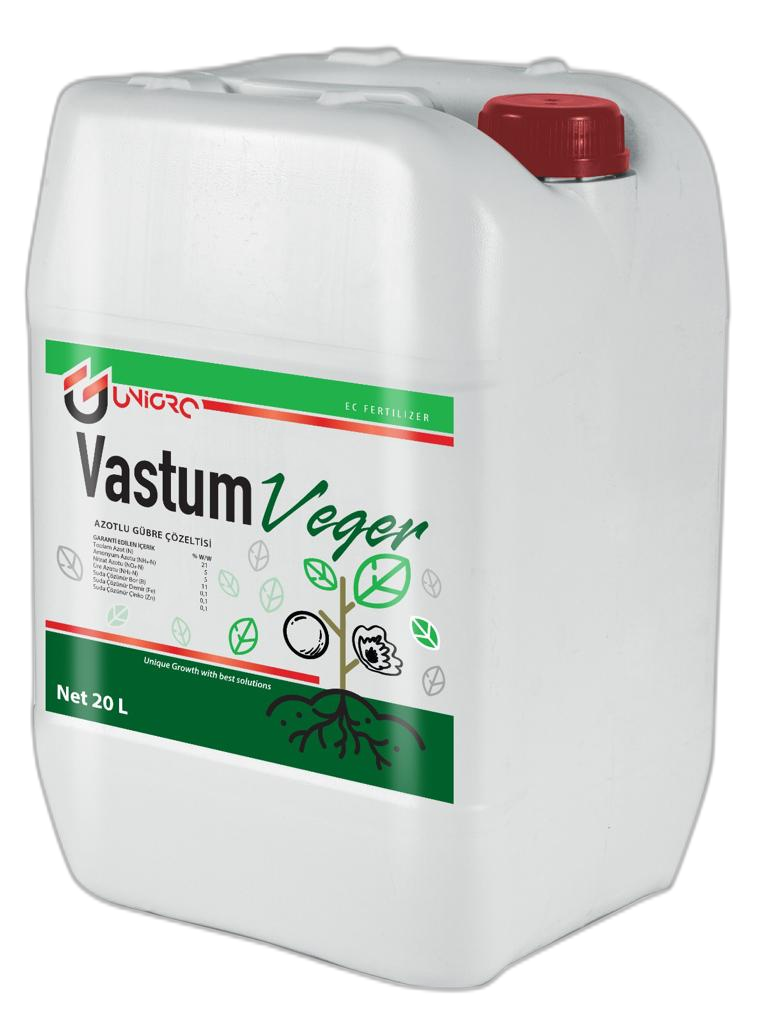 Vastum Veger